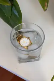 Lady Orjmark Kadın Saat 1