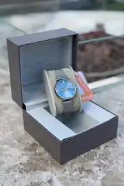 Yeni Sezon Ferrucci Kadın Saat 2